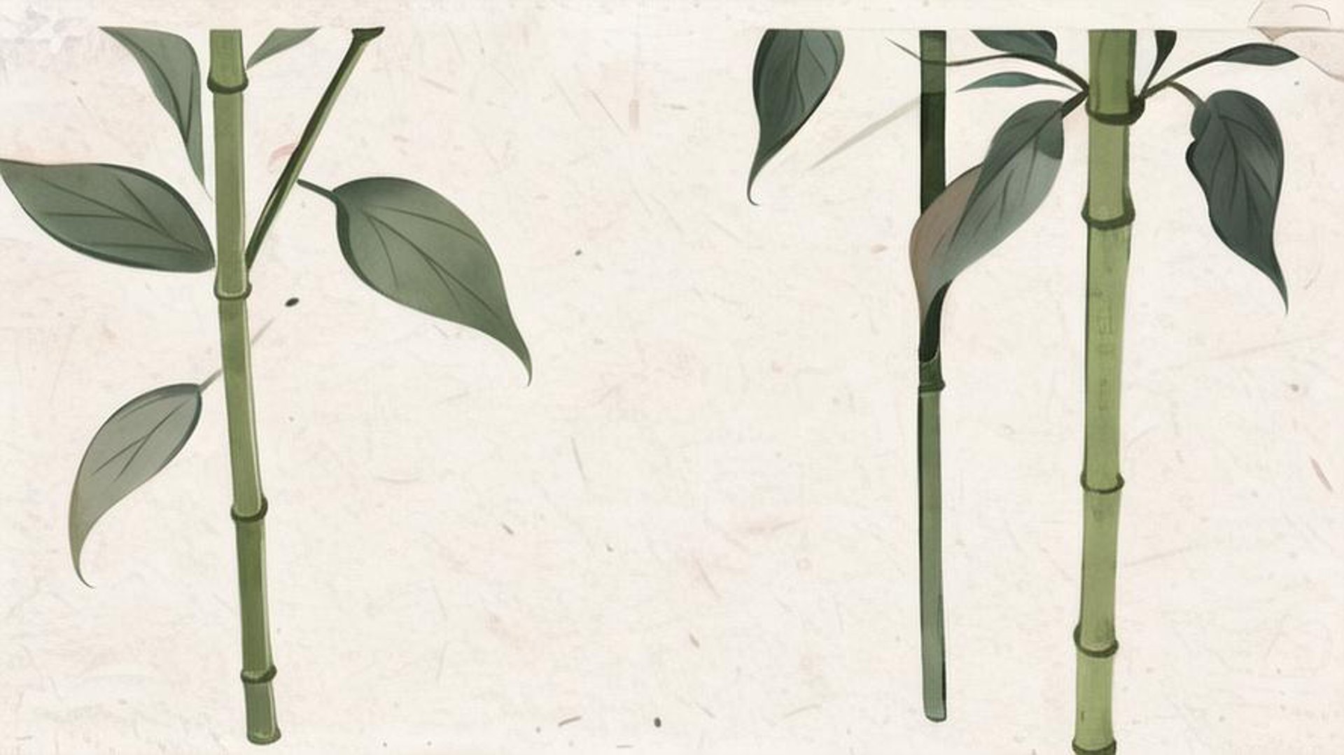 传统文化教育：在新时代绽放光芒