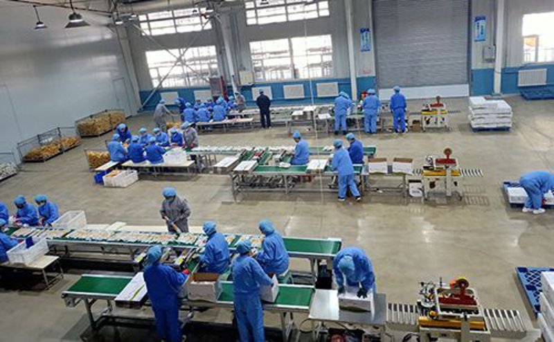 国学培训的安装与维护:开启文化的钥匙